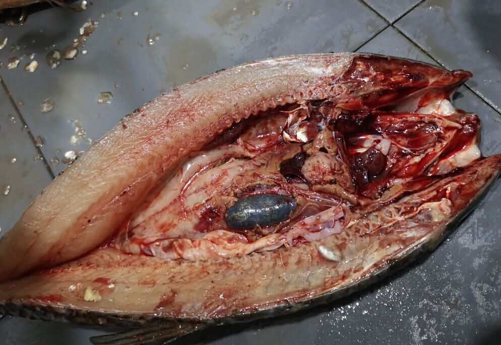 5d1b0db7cb97b.jpg 5d1b0db7cb97b.jpg