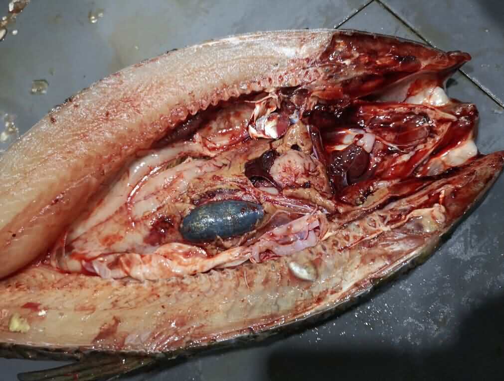 5d1b0db8195d6.jpg 5d1b0db8195d6.jpg